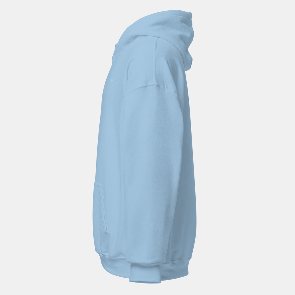 Light Blue Thread Hoodie