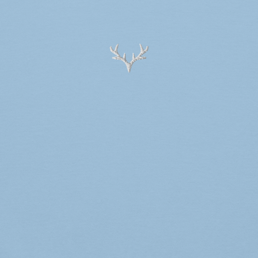 Light Blue Thread Hoodie