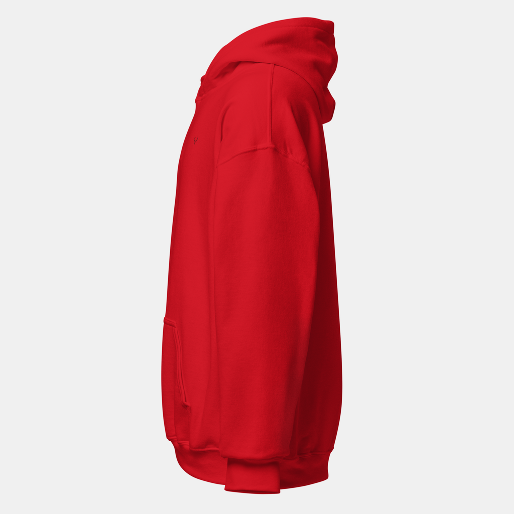 Red Thread Hoodie