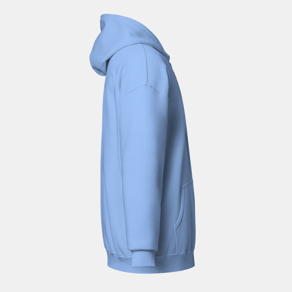 Carolina Threadline Zip Hoodie