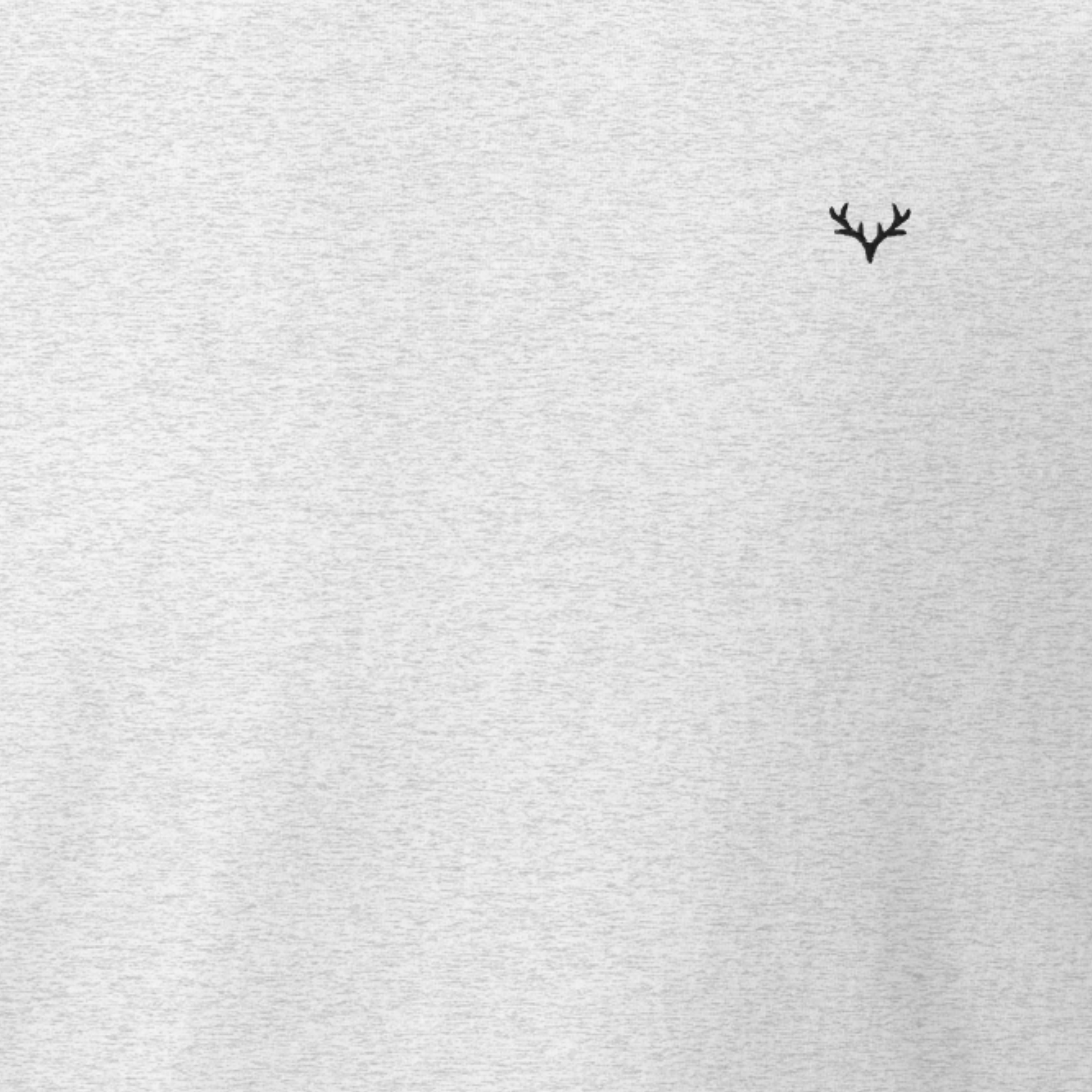 Ash Base Softstyle T-Shirt