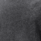 Black Husky Cotton T-Shirt